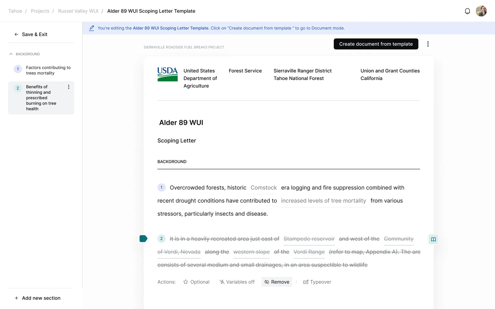 Document generation — scoping letter